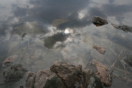 Elementarteilchen / ***