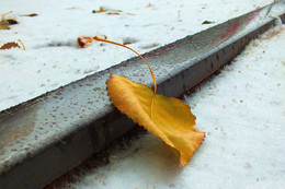 Elementarteilchen / ***
