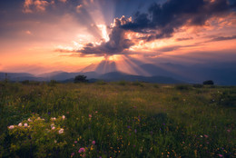 Magical light / ...