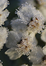 Elementarteilchen / " " "