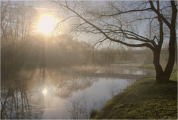 Nebliger Morgen / ***