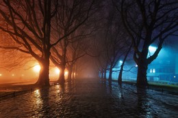 / Jasne Błonia. Szczecin, Poland.