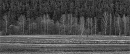 Frühling / ***