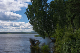 Forest Lake / ***