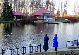Schwanensee / ***