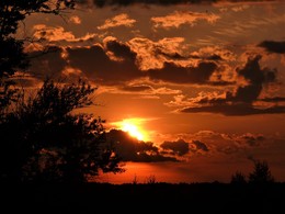 Am Ende des Tages / ***