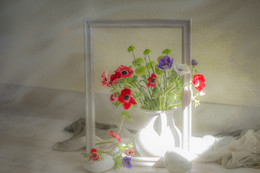 Anemonen / ***