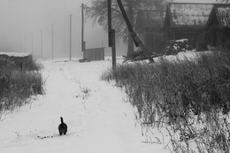 Wollige Nebel / ***