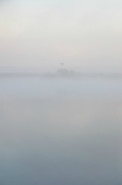 Wollige Nebel / ***
