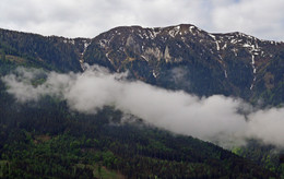 Wollige Nebel / ***
