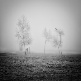 Wollige Nebel / ***