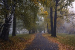 Herbst Wanderung / ***