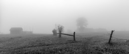 Wollige Nebel / ***