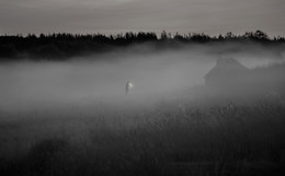 Recluse / ***