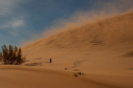 Wind / ***