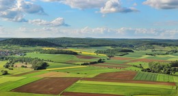 Mai Feld / ***