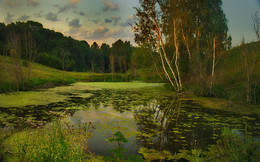 Teich / ***