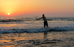 Sun Catcher / ***