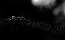 Licht in der Dunkelheit / ***