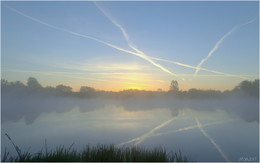 Bald dawn / ***
