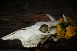 Krankenschwester / ***