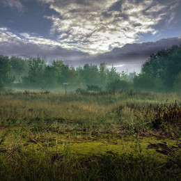 Nebliger Morgen / tuman