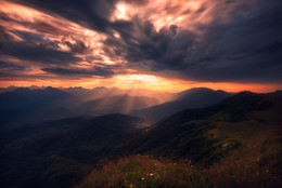 Symphony of Light / ...