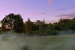 Abendnebel / ***