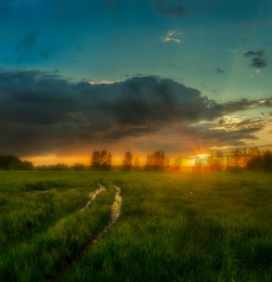 Nach dem Sturm ... / ***