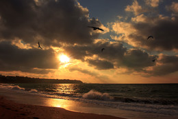 Sonnenuntergang / ***
