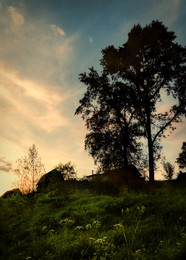 Dorf / ***