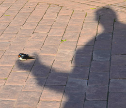 in unseren Händen / ***