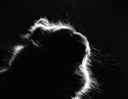 In der Sonne / ***