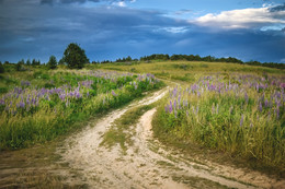 Summer colors / ***