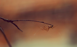 Am Rande der ... / ***