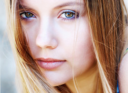 Blick / ---