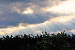Nach dem Regen / " " "