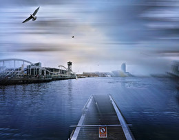 Early Morning / ***