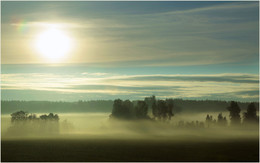 Morgen / ***