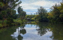 Im alten Park / ***