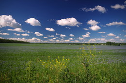 Wolken / ***