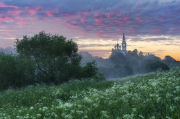 Bald dawn / ***