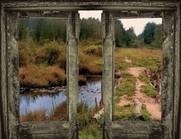Alte Fenster / ***
