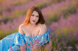 Lavendel / ***