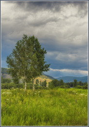 Vor dem Sturm / ***