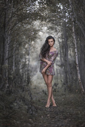 Im Wald / ***