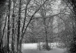Schneefall / ***