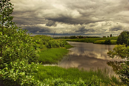 Overgrown Teich / ***