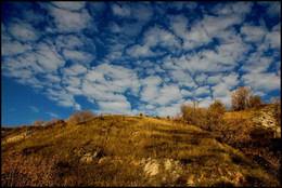 Herbst-Skizzen / ***