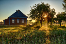 Sonniger Morgen / ***